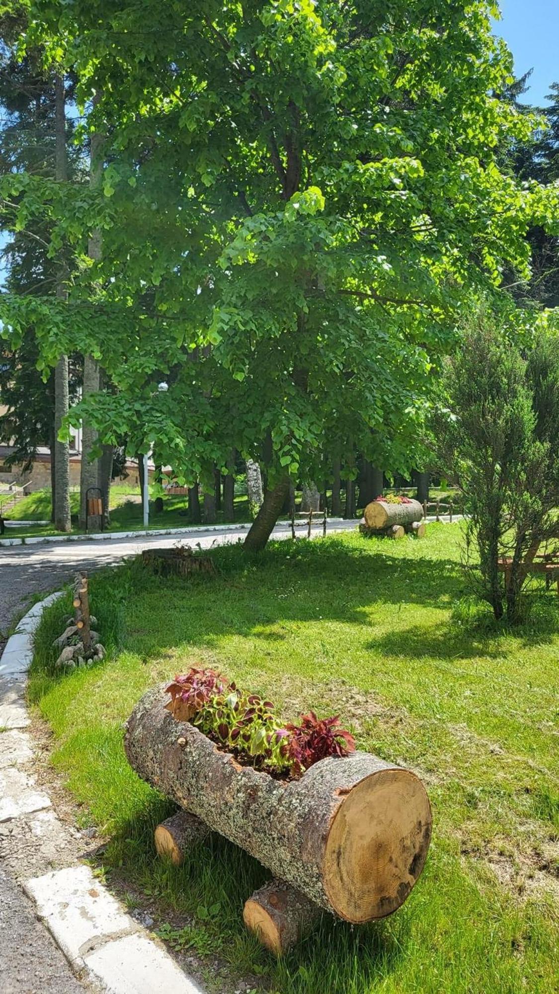 Pm Services Borovets Garden Apartments 외부 사진
