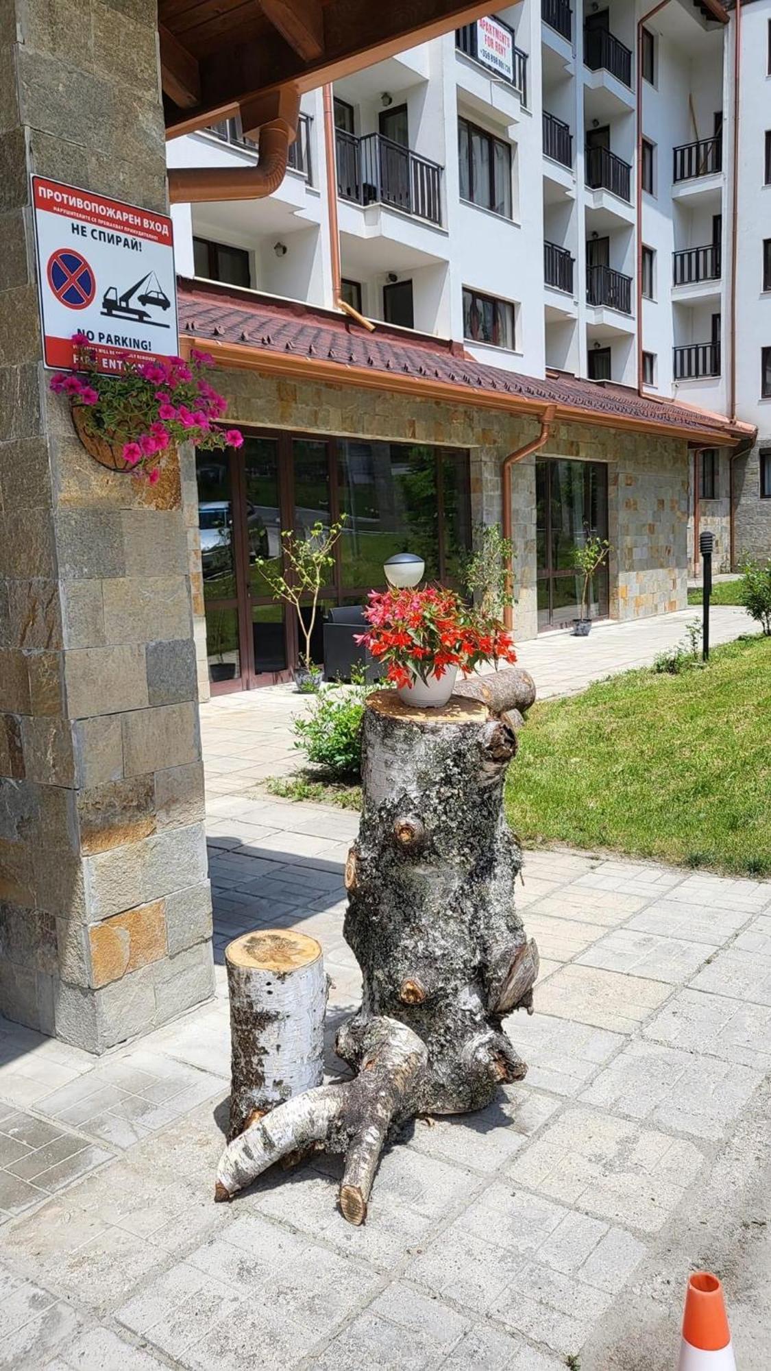 Pm Services Borovets Garden Apartments 외부 사진